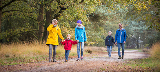 Wandelen door Drentse bossen