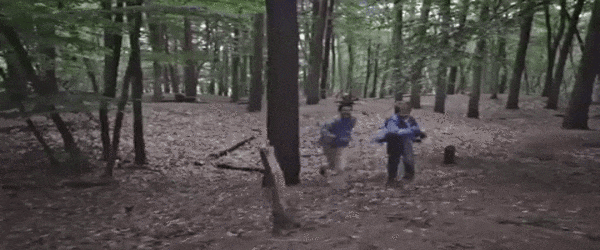 Rennen in het bos
