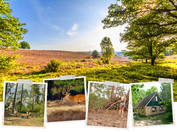 Natuurgeluiden