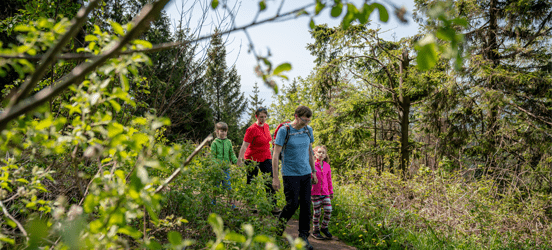 Wandern im Harz