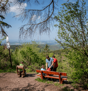 Wandern im Harz
