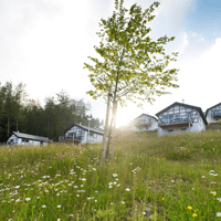 Landal Winterberg