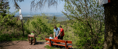 Wandern im Harz