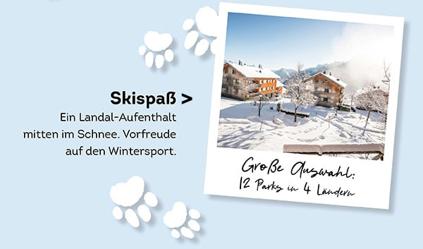 Ein Landal-Aufenthalt mitten im Schnee. Große Auswahl: 12 Parks in 4 Ländern.