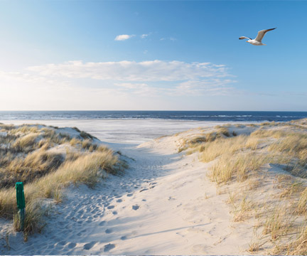 Naar de kust
